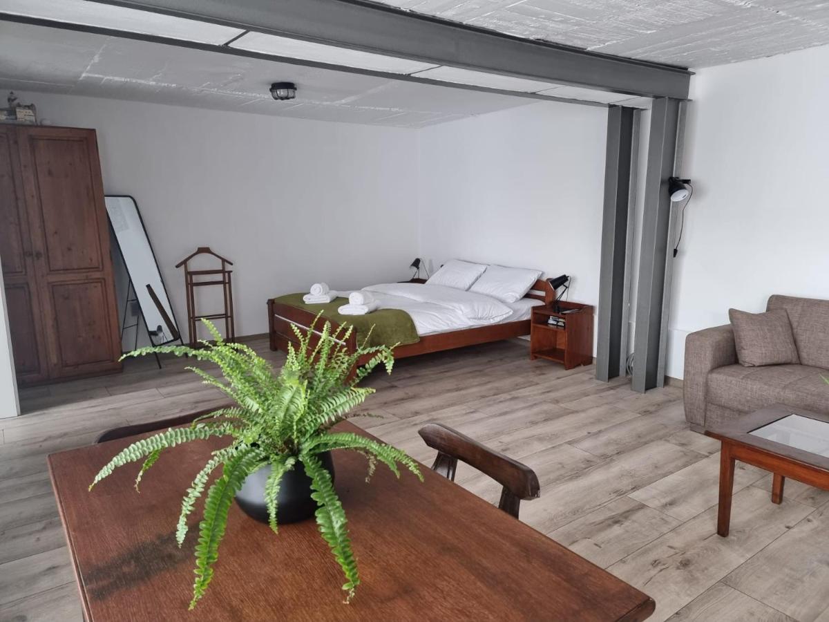 The Cozy Bunker Apartment Sibiu Exterior photo