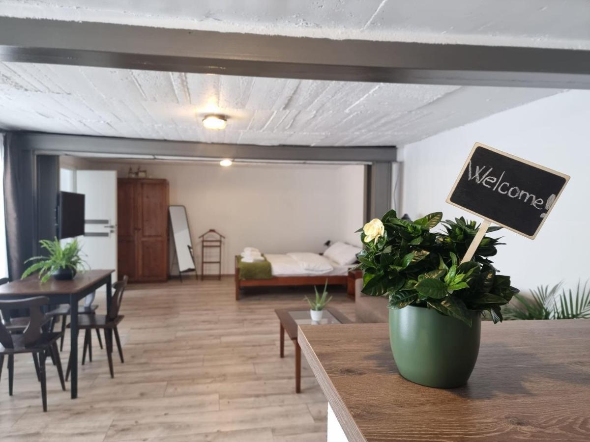The Cozy Bunker Apartment Sibiu Exterior photo
