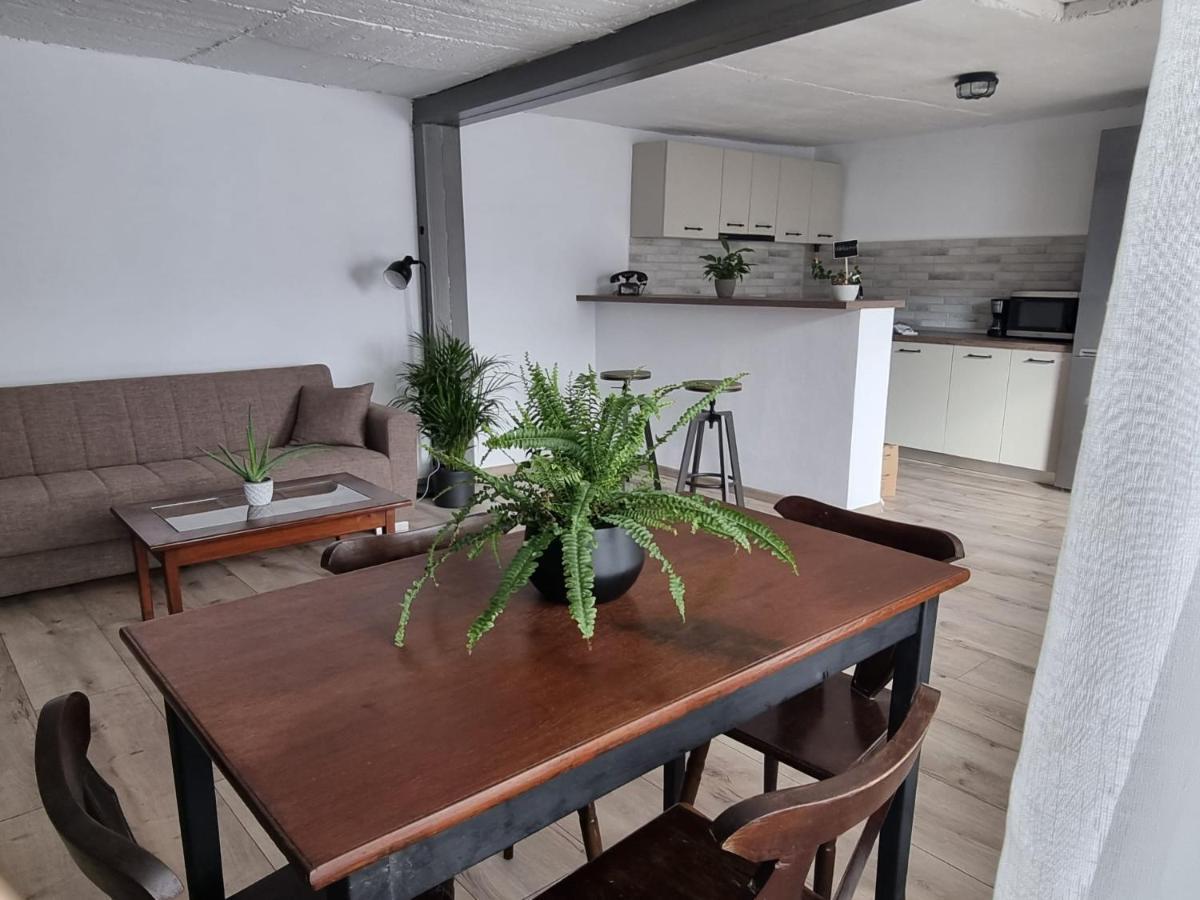 The Cozy Bunker Apartment Sibiu Exterior photo