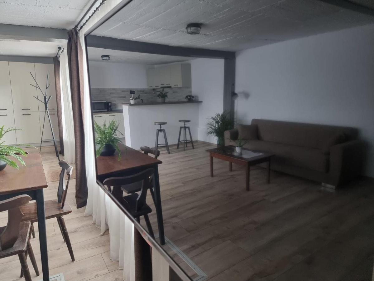 The Cozy Bunker Apartment Sibiu Exterior photo