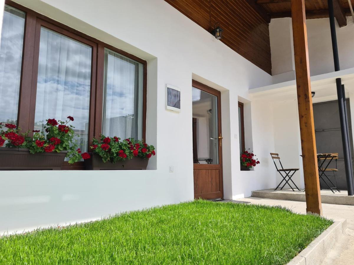 The Cozy Bunker Apartment Sibiu Exterior photo